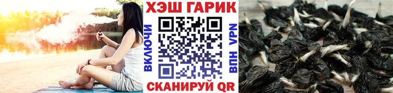 ГАШ гарик  Элиста 