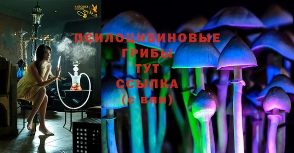 спиды Абинск