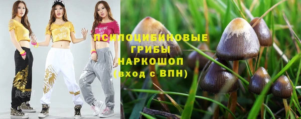 ALPHA PVP Новозыбков