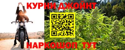 стаф Краснодар