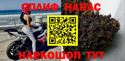 стаф Краснодар