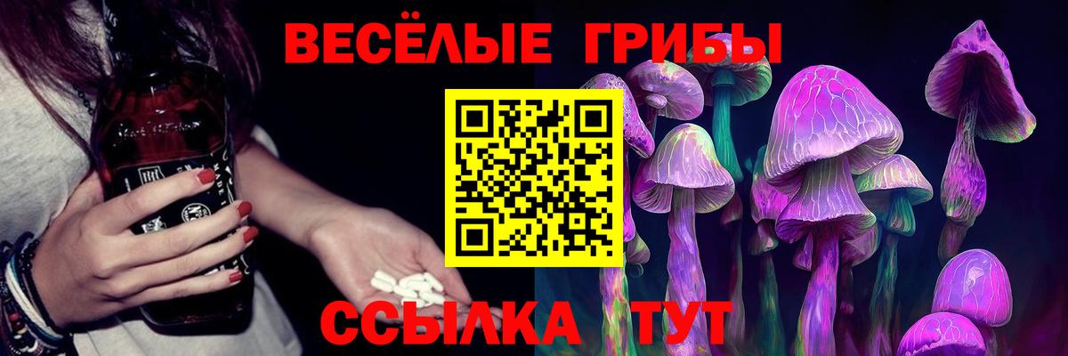 Галлюциногенные грибы мицелий  Вход с VPN  Псилоцибиновые грибы Psilocybine cubensis  Элиста 