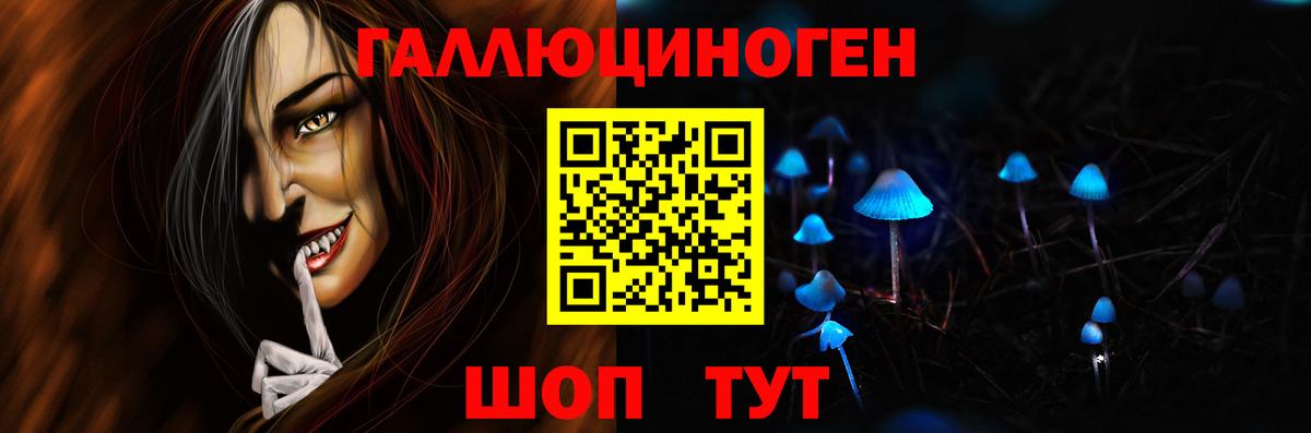 Галлюциногенные грибы Cubensis Элиста